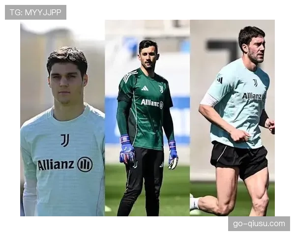 弗拉霍维奇比目鱼肌损伤恢复顺利，有望下周对阵维罗纳复出